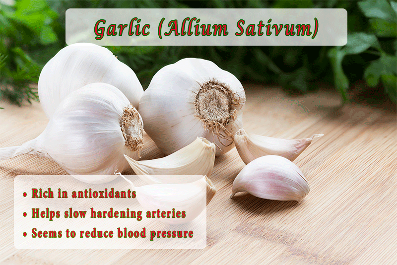 Garlic (Allium Sativum)   •	Rich in antioxidants •	Helps slow hardening arteries •	Seems to reduce blood pressure