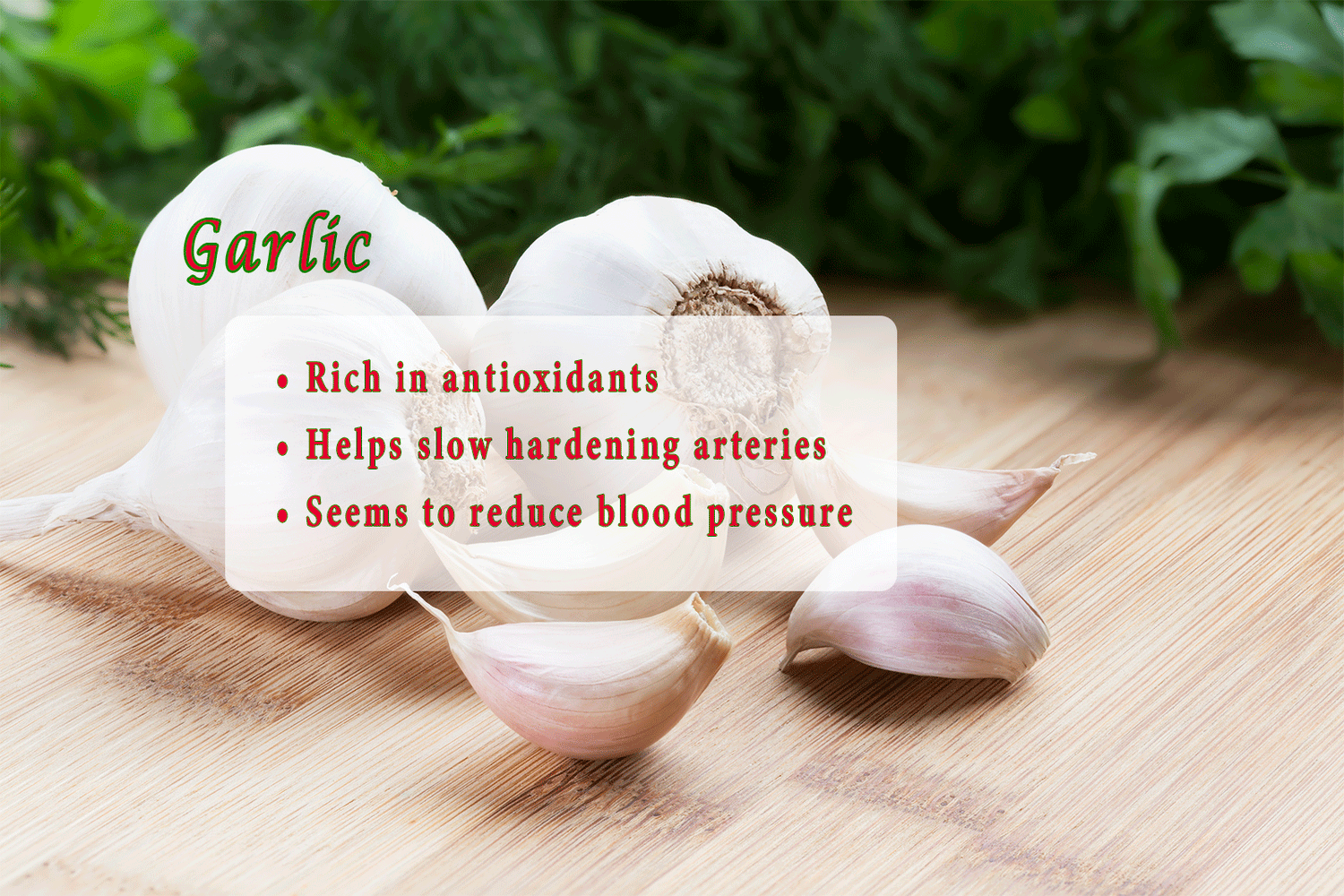 Garlic