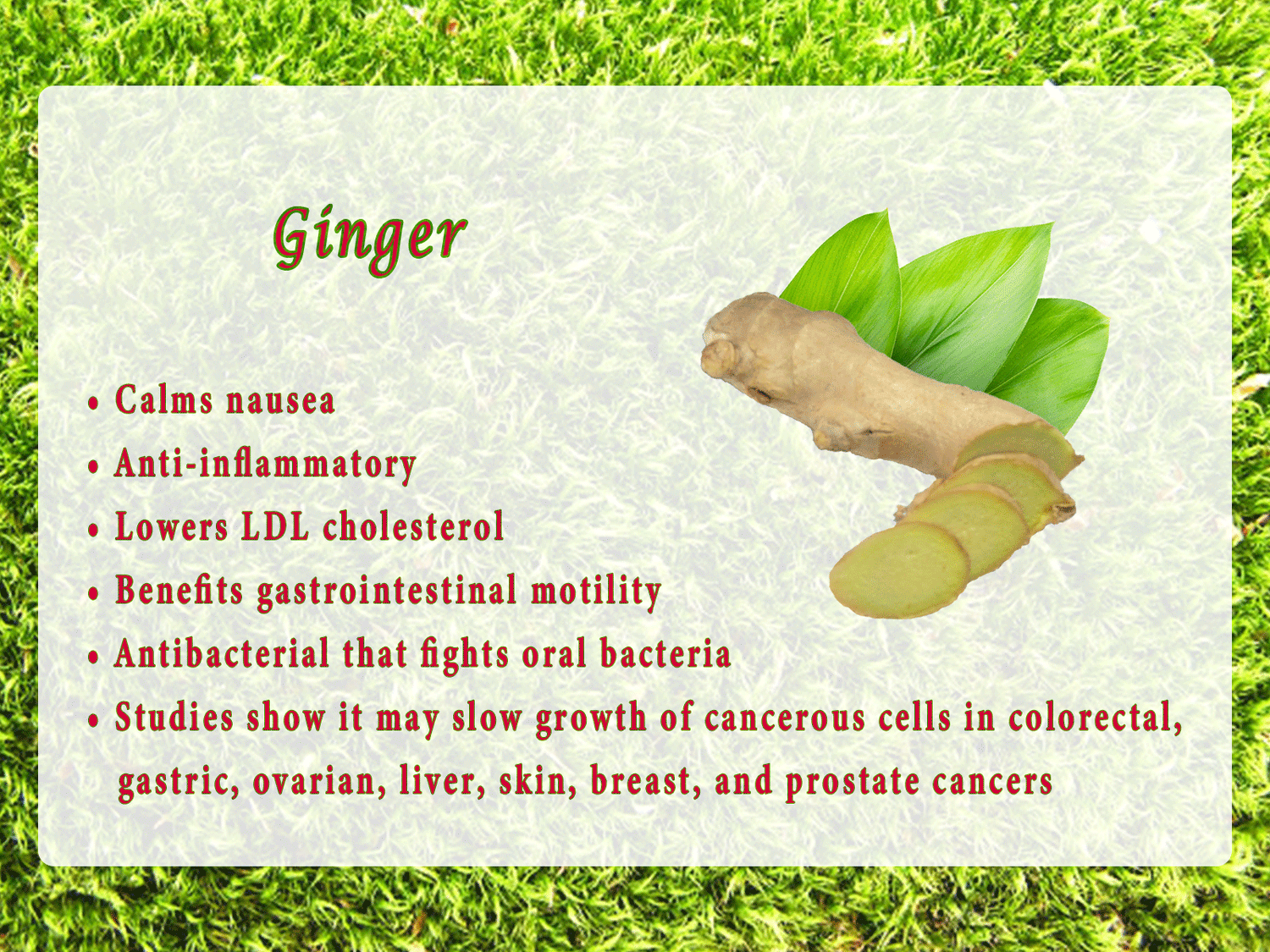 Ginger