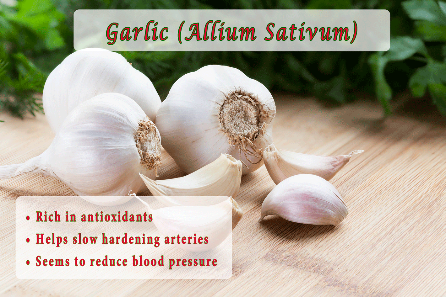 Garlic (Allium Sativum) •	Rich in antioxidants •	Helps slow hardening arteries •	Seems to reduce blood pressure